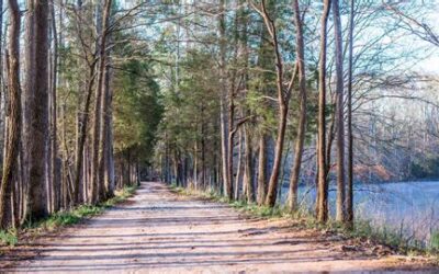 Working Out and Walking Trails in Charlotte, NC