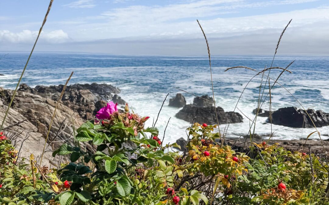 Local Moms Travel Guide:  Maine With Kids