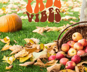 Apple and Pumpkin Picking Near Charlotte, NC