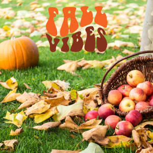 Apple and Pumpkin Picking Near Charlotte, NC