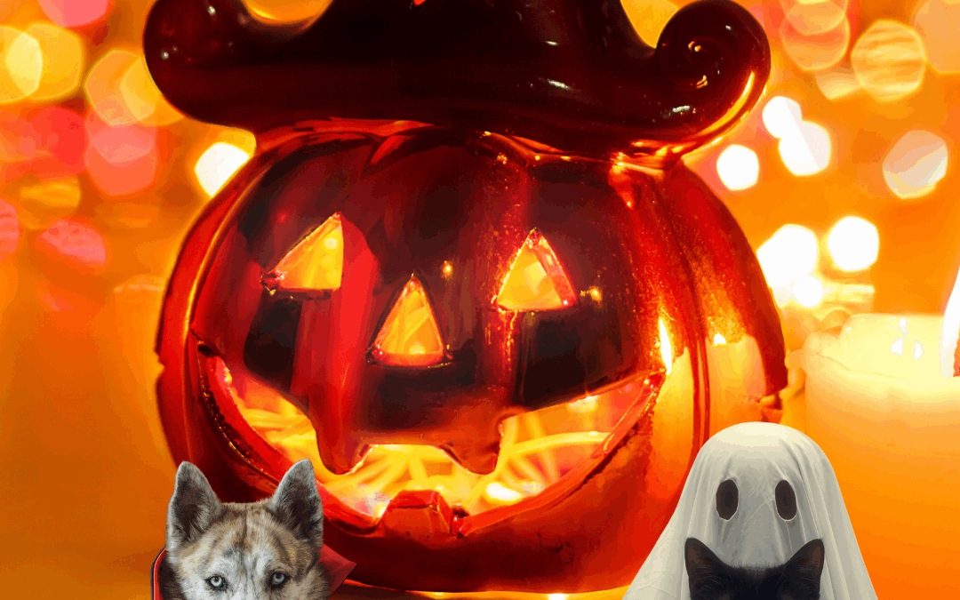 Family-Friendly Halloween Events in Charlotte