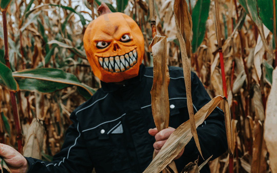 Spooky Season:  Corn Mazes and Haunted Trails