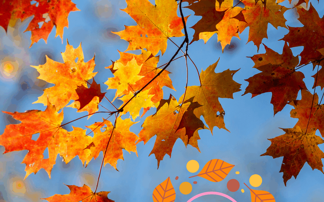 Fall Festivals in Charlotte:  October/November