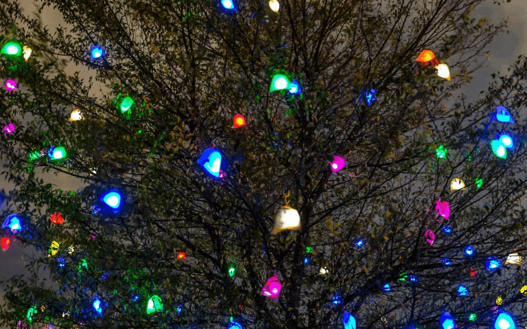 Holiday Tree Lightings and Light Displays in Charlotte, NC