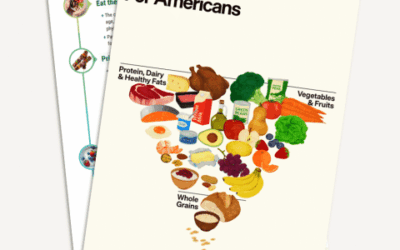 The New Food Pyramid