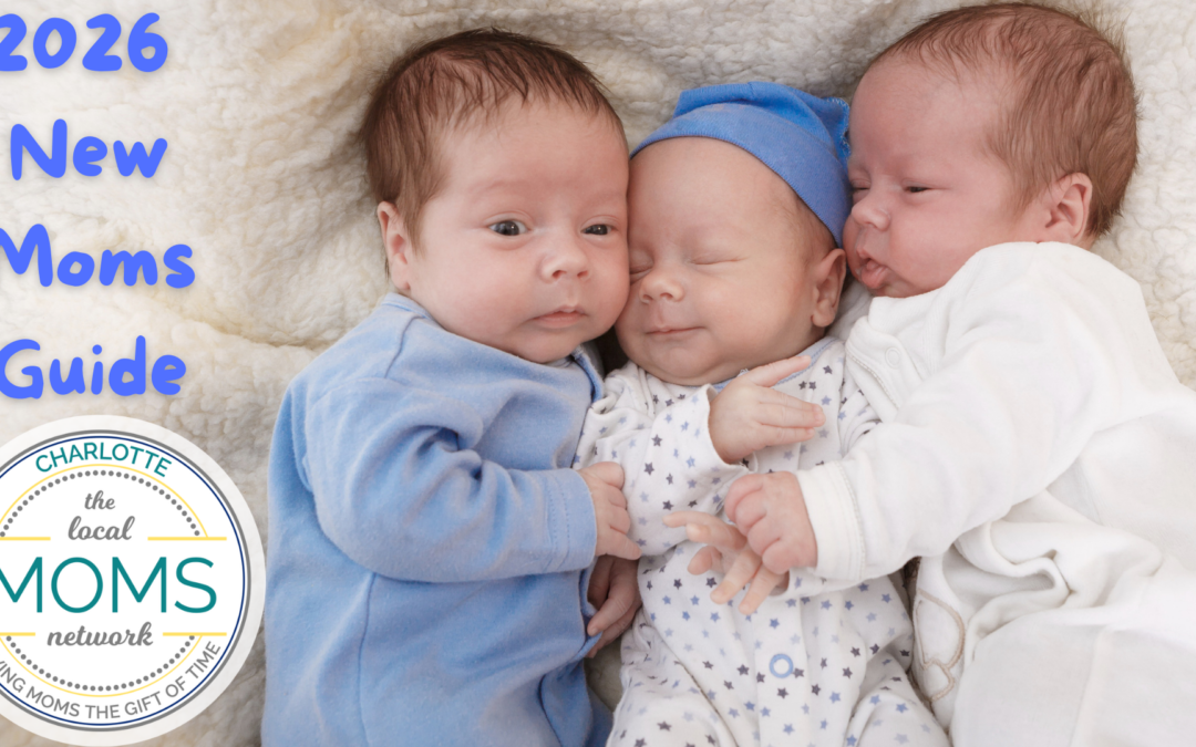 2026 New Moms Guide