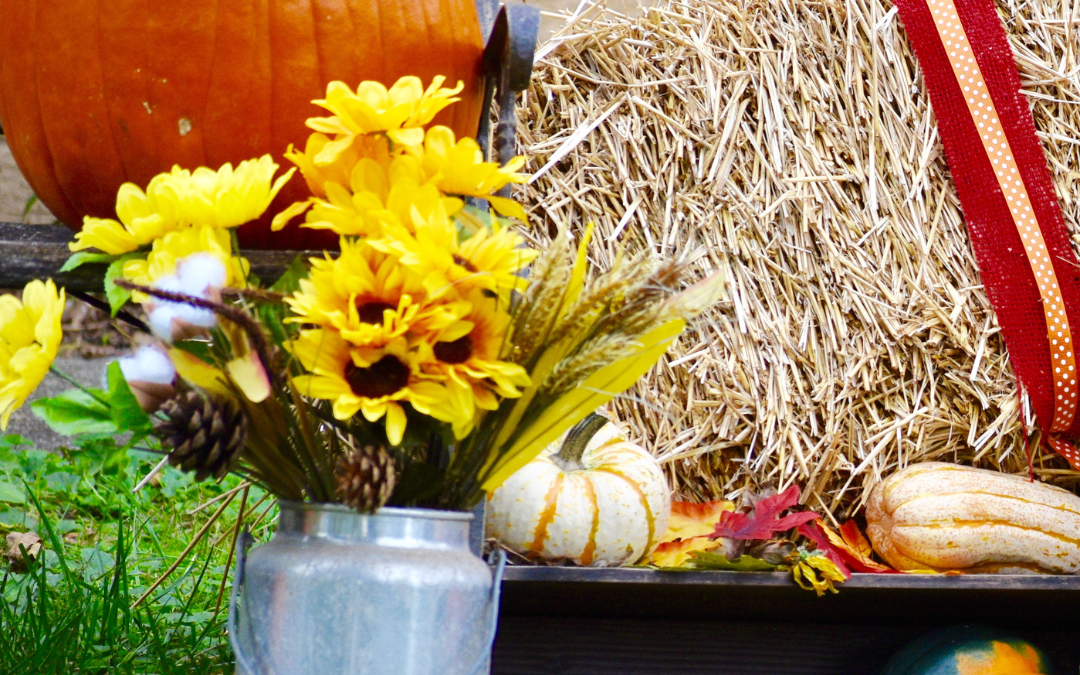 It’s Fall Festival Time!