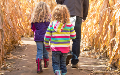 Pumpkin Patches and Corn Mazes: 2026 Edition